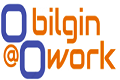 https://bilginatwork.co.uk/